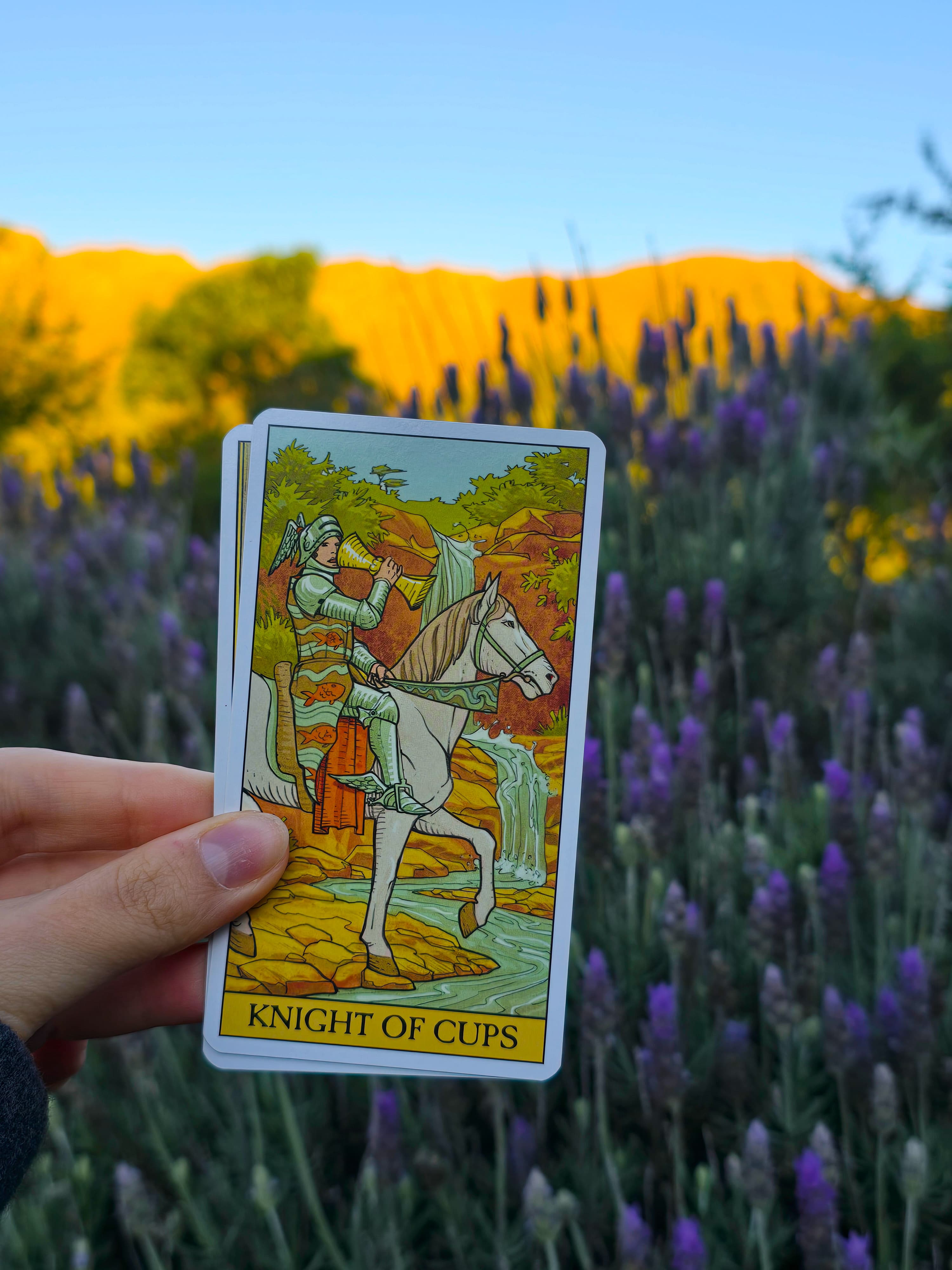 Caballero de Copas sobre un campo de lavanda al atardecer