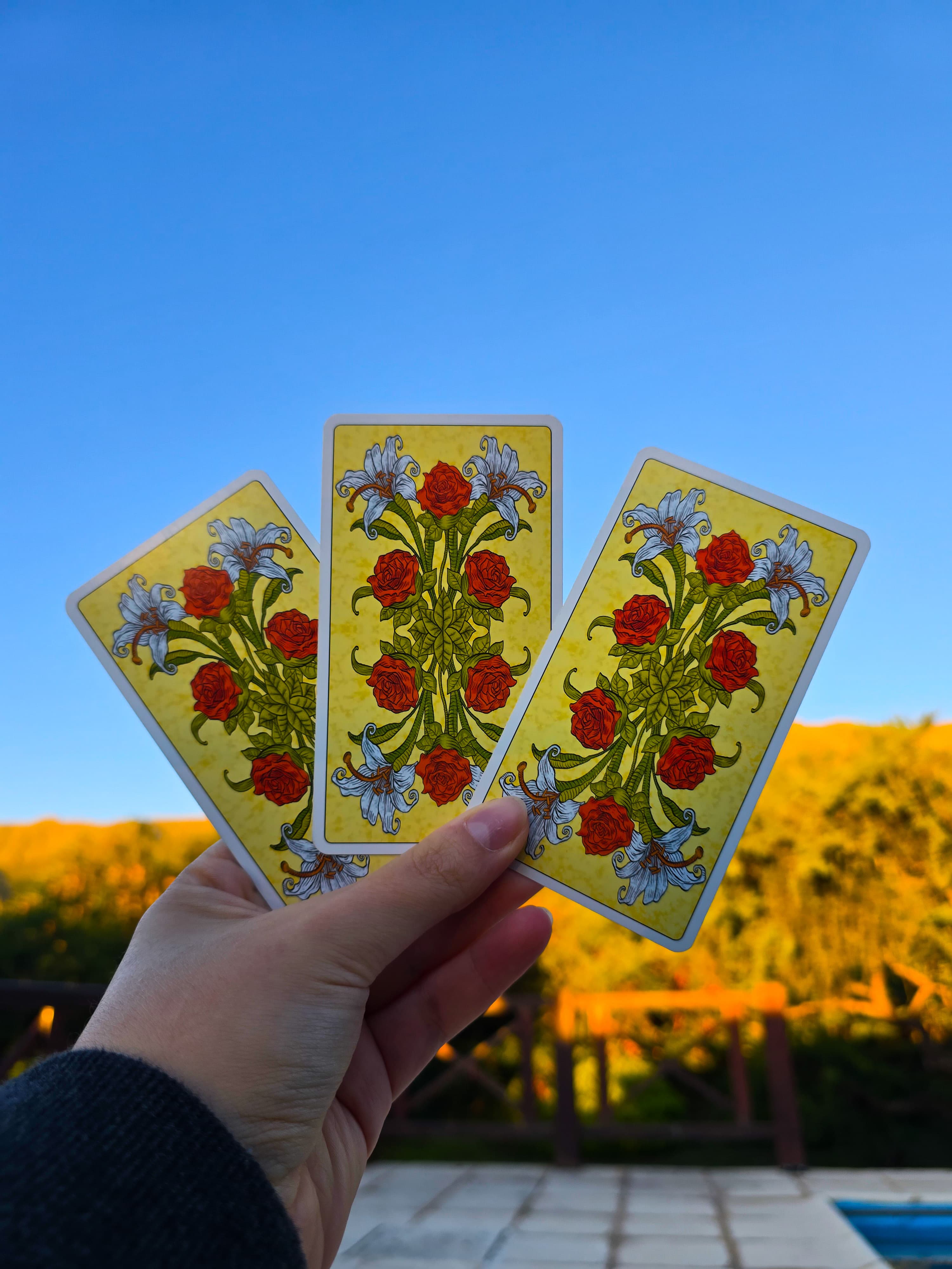 Tres cartas con rosas rojas bajo un cielo azul