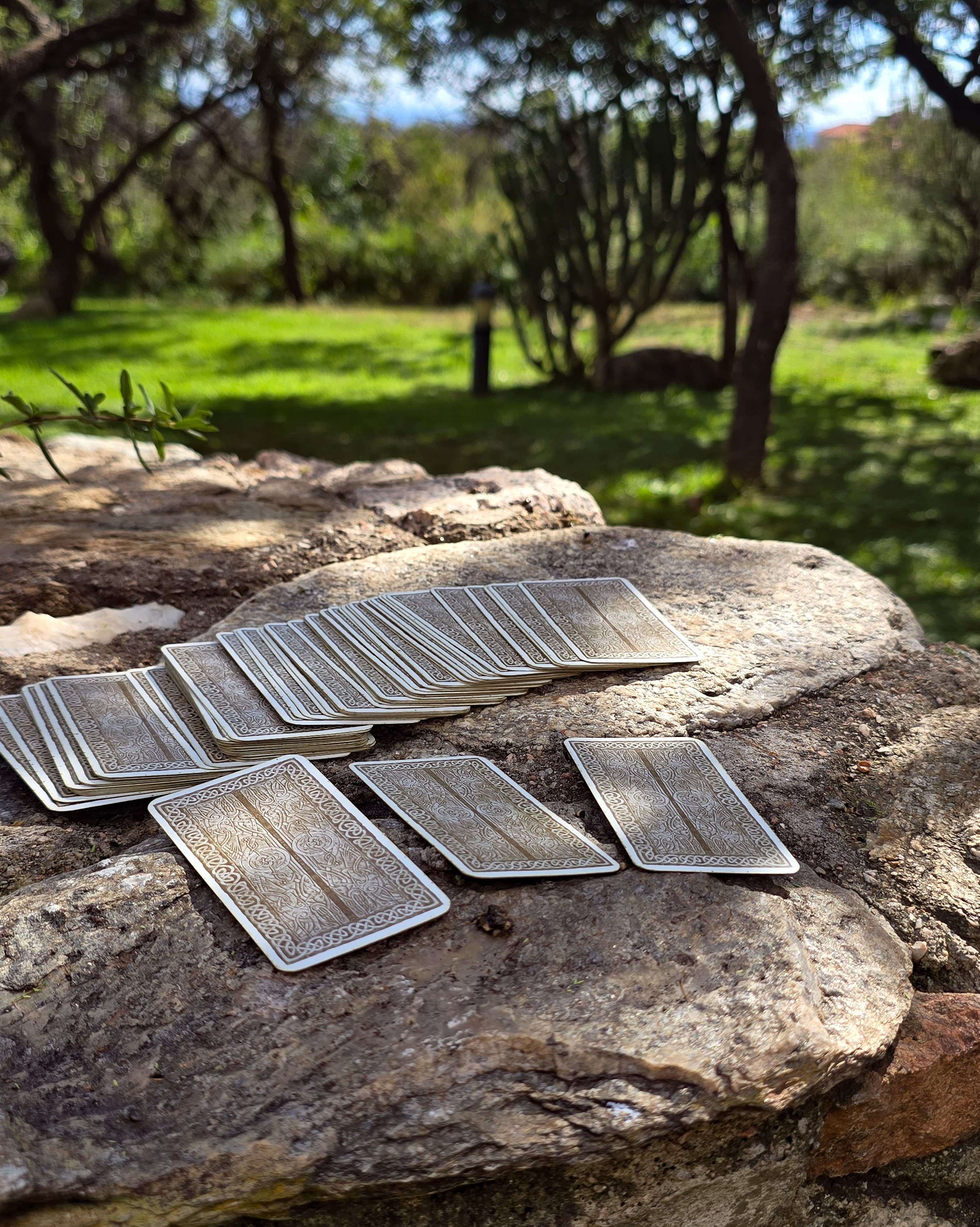 Un mazo de tarot desplegado sobre una roca en el bosque